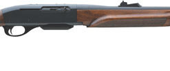Remington 750 Woodmaster Rifle 7055, 243 Winchester, 22", Semi-Auto, Walnut Stock, Blued Steel Finish, 4 Rds